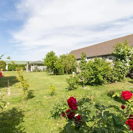 Pension Tadtendrang Exterior photo